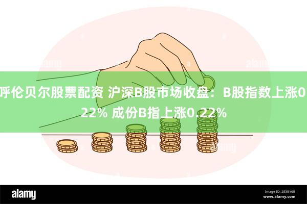 呼伦贝尔股票配资 沪深B股市场收盘：B股指数上涨0.22% 成份B指上涨0.22%