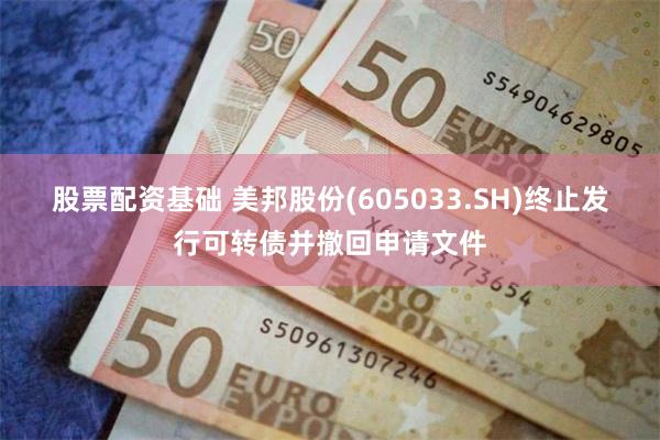股票配资基础 美邦股份(605033.SH)终止发行可转债并撤回申请文件