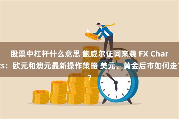 股票中杠杆什么意思 鲍威尔证词来袭 FX Charts：欧元和澳元最新操作策略 美元、黄金后市如何走？