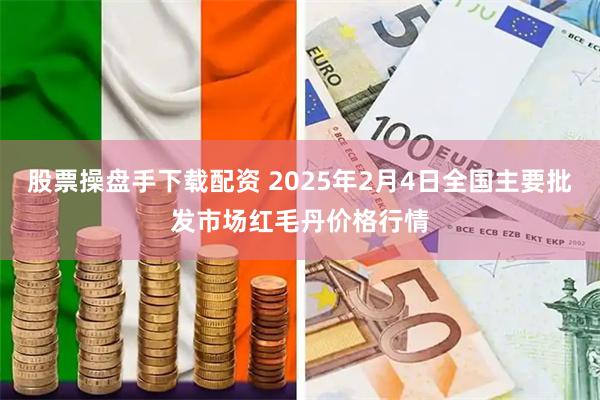 股票操盘手下载配资 2025年2月4日全国主要批发市场红毛丹价格行情