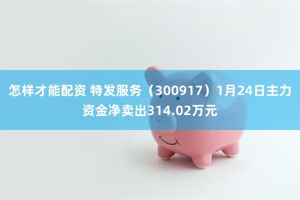 怎样才能配资 特发服务（300917）1月24日主力资金净卖出314.02万元