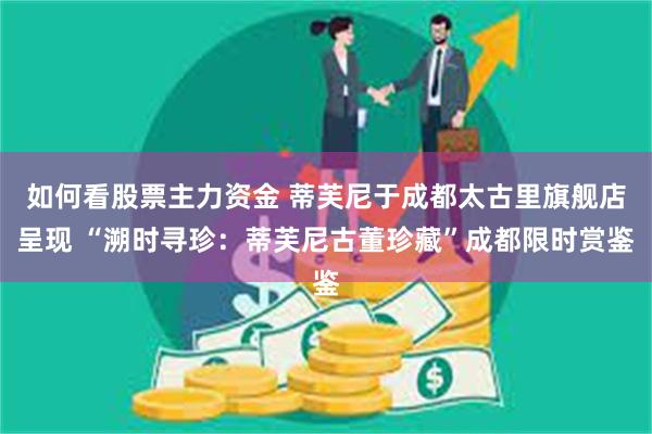 如何看股票主力资金 蒂芙尼于成都太古里旗舰店呈现 “溯时寻珍：蒂芙尼古董珍藏”成都限时赏鉴