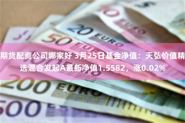 期货配资公司哪家好 3月25日基金净值：天弘价值精选混合发起A最新净值1.5582，涨0.02%