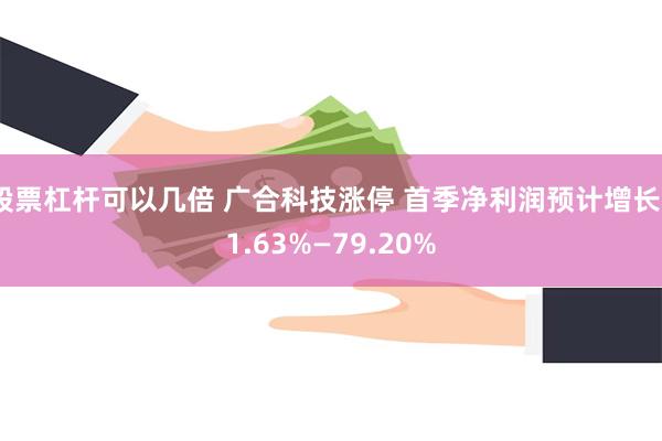 股票杠杆可以几倍 广合科技涨停 首季净利润预计增长51.63%—79.20%