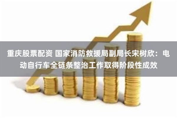 重庆股票配资 国家消防救援局副局长宋树欣：电动自行车全链条整治工作取得阶段性成效