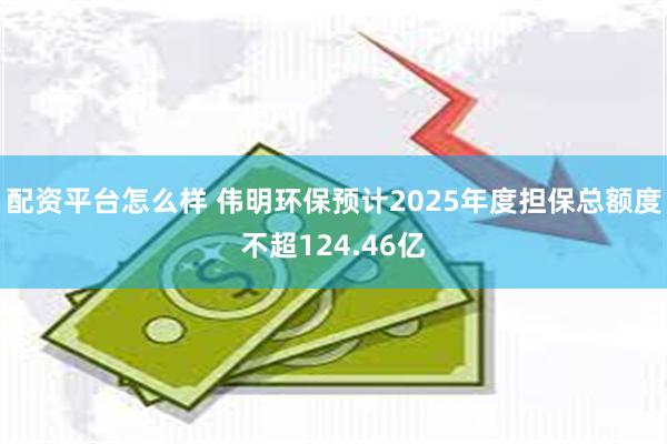 配资平台怎么样 伟明环保预计2025年度担保总额度不超124.46亿