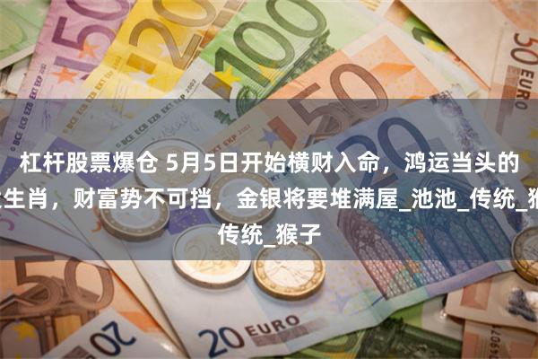 杠杆股票爆仓 5月5日开始横财入命，鸿运当头的4大生肖，财富势不可挡，金银将要堆满屋_池池_传统_猴子