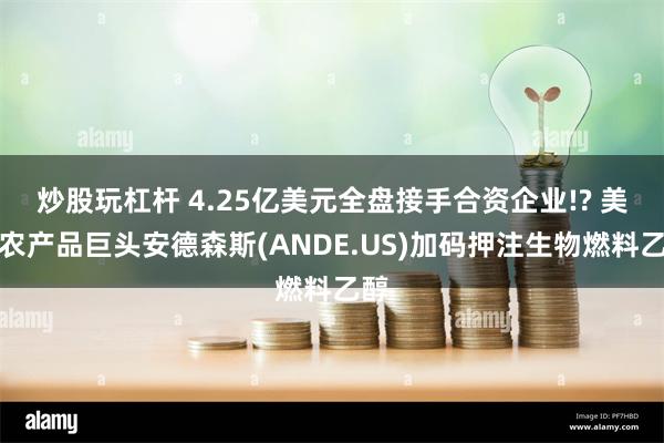 炒股玩杠杆 4.25亿美元全盘接手合资企业!? 美国农产品巨头安德森斯(ANDE.US)加码押注生物燃料乙醇