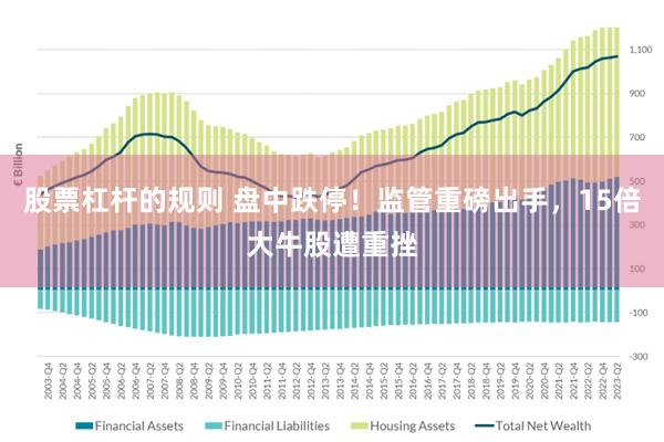 股票杠杆的规则 盘中跌停！监管重磅出手，15倍大牛股遭重挫