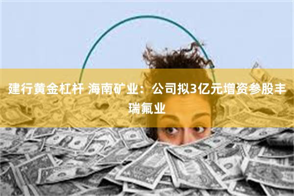 建行黄金杠杆 海南矿业:公司拟3亿元增资参股丰瑞氟业