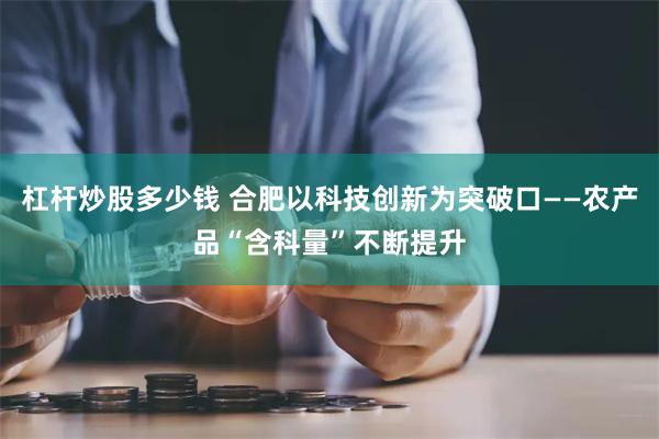 杠杆炒股多少钱 合肥以科技创新为突破口——农产品“含科量”不断提升